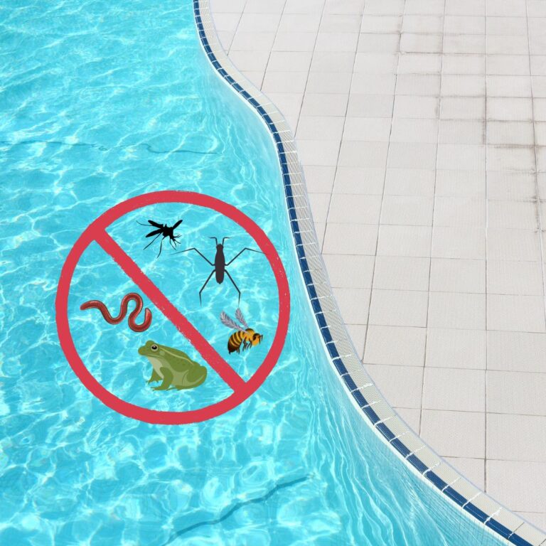 critters in pool